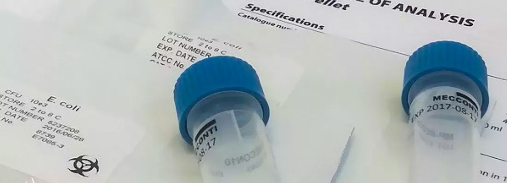 MicroPelletRTPlus Pseudomonas aeruginosa ATCC® 15442™ log3